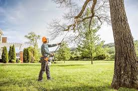 Best Tree Removal Service  in Annetta, TX